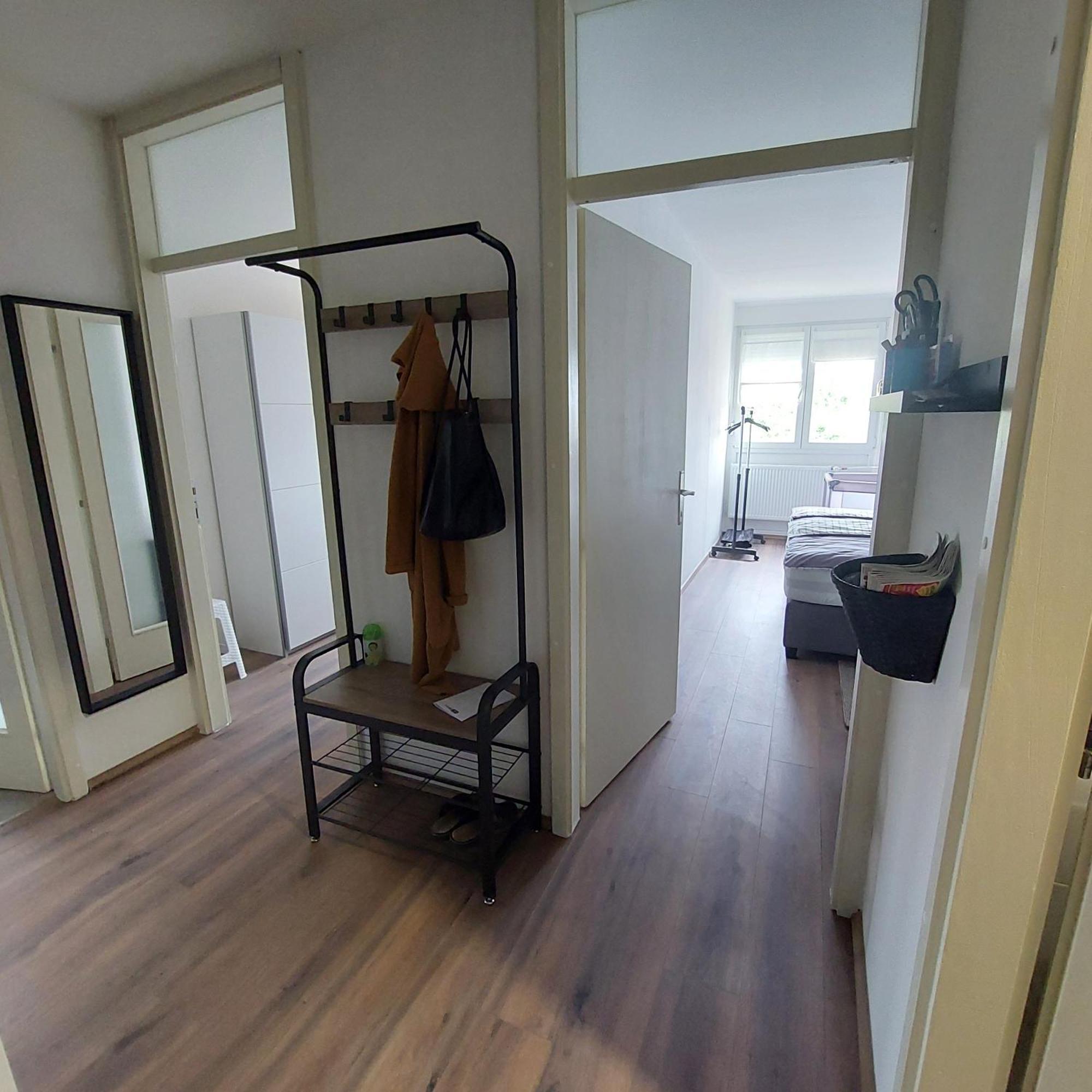 קארלובץ Apartman Ela מראה חיצוני תמונה