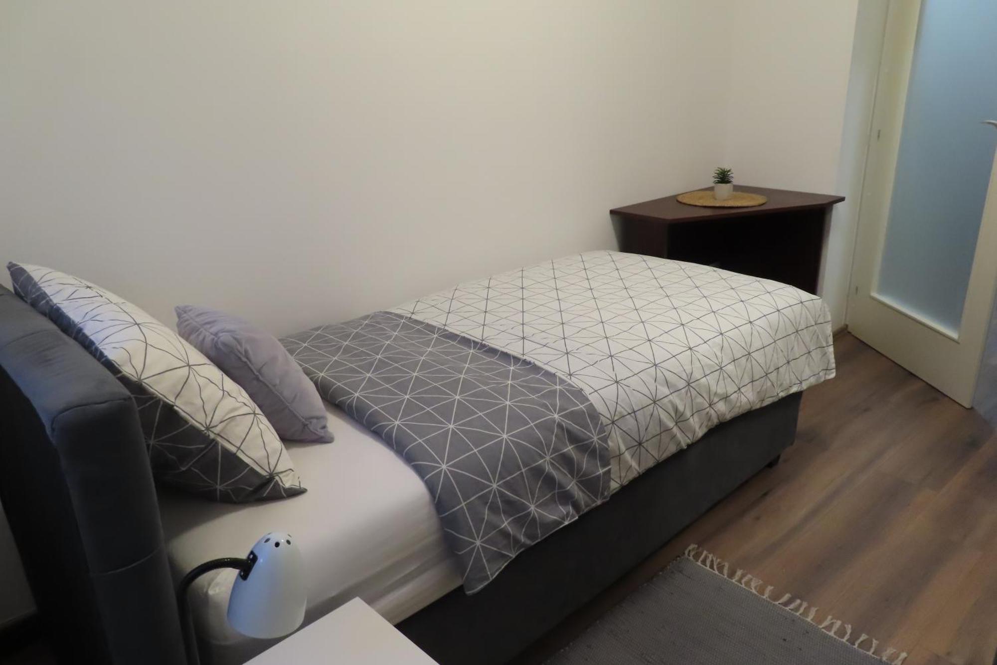 קארלובץ Apartman Ela מראה חיצוני תמונה